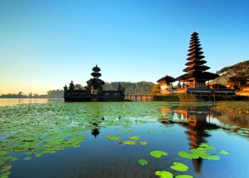 MENJEMPUT ASA DI SINGARAJA