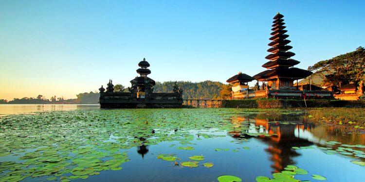 MENJEMPUT ASA DI SINGARAJA