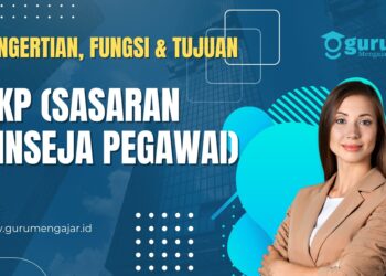 SKP atau Sasaran Kinerja Pengawai 2022 (Pengertian dan Fungsi)