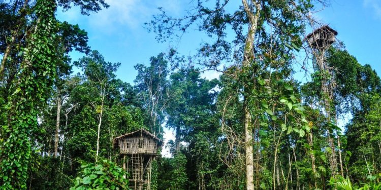 USUBI YOKOHUDA, TAKO BAYAMAN