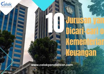 Sepuluh Jurusan yang Dicari-cari oleh Kementerian Keuangan dalam PPPK 2023 dan Besaran Gaji