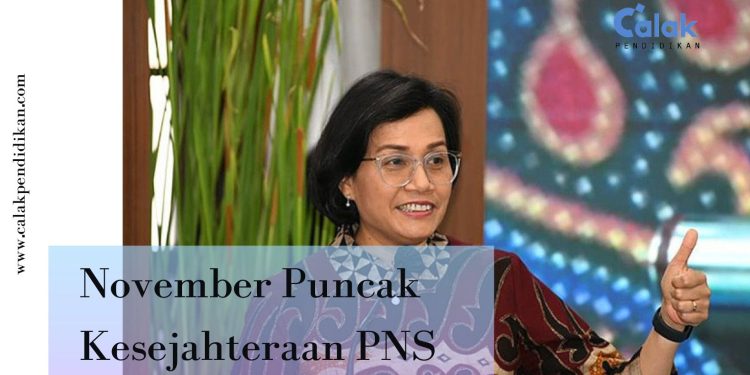 November Puncak Kesejahteraan PNS dan Pensiunan Sri Mulyani Siap Bagikan Gaji