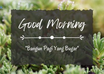 Menjadi Guru yang Produktif dengan Bangun Pagi Yang Bugar, Baca Panduan dan Tips