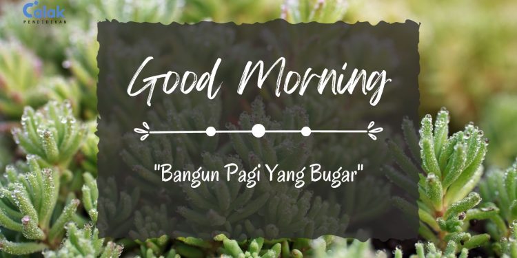 Menjadi Guru yang Produktif dengan Bangun Pagi Yang Bugar, Baca Panduan dan Tips