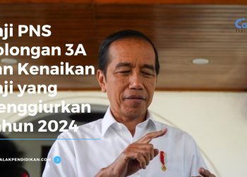 Gaji PNS Golongan 3A dan Kenaikan Gaji yang Menggiurkan Tahun 2024