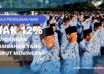 Gaji Pensiunan Naik 12%! Ini Dia 3 Tunjangan Tambahan yang Turut Meningkat