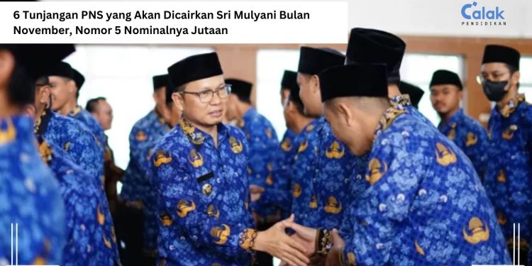 6 Tunjangan PNS yang Akan Dicairkan Sri Mulyani Bulan November, Nomor 5 Nominalnya Jutaan