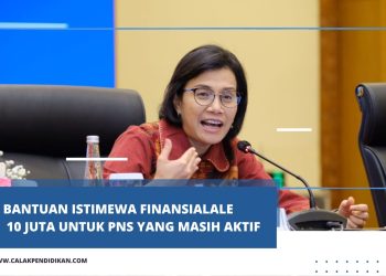 Sri Mulyani Mempersiapkan Bantuan Istimewa Finansial10 Juta untuk PNS yang Masih Aktif