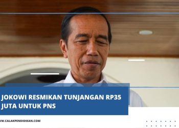 Jokowi Resmikan Tunjangan Rp35 Juta untuk PNS: Peningkatan Kesejahteraan dan Motivasi Layanan Publik
