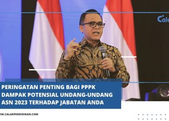 Peringatan Penting Bagi PPPK: Dampak Potensial Undang-Undang ASN 2023 Terhadap Jabatan Anda