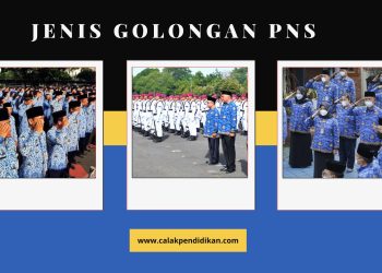 Mengungkap Misteri! Jenis Golongan PNS di Indonesia Simak Detailnya di Sini!