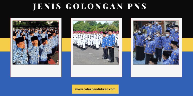 Mengungkap Misteri! Jenis Golongan PNS di Indonesia Simak Detailnya di Sini!