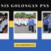 Mengungkap Misteri! Jenis Golongan PNS di Indonesia Simak Detailnya di Sini!