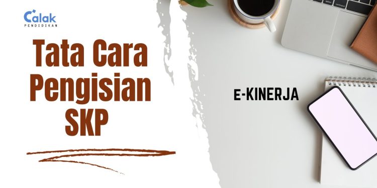 Tata Cara Pengisian SKP di Aplikasi e-Ekinerja BKN untuk ASN P3K dan PNS 2023