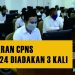 PENDAFTARAN CPNS 2024 DIADAKAN 3 KALI