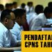 pendaftaran cpns 2024