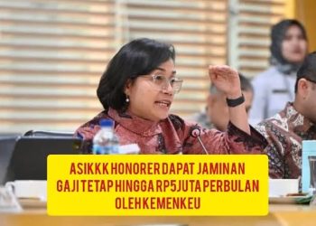 Mulai tahun 2024, tenaga honorer akan mendapatkan jaminan gaji pokok.
