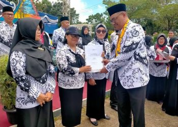 Selain guru bersertifikasi, pemerintah juga memberikan dua tambahan penghasilan kepada para guru.