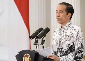 Ayo Bersiap! Rekrutmen CASN Tahun 2024 Tetap Memprioritaskan Pegawai Non ASN