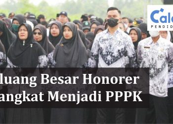peluang besar honorer diangkat menjadi PPPK