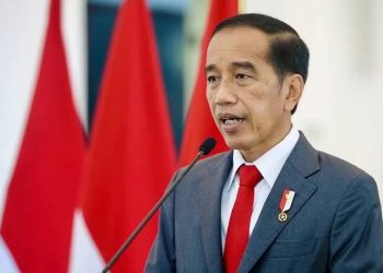 Kabar Baik: Tenaga Honorer Bakal Diangkat oleh Presiden Jokowi Lewat UU ASN 2024! Simak Informasinya Sekarang!