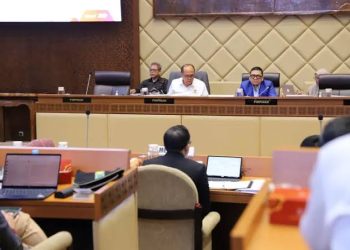 Perhatian, Tenaga Honorer! BKN memberikan penegasan penting mengenai proses pendataan Non-ASN hingga pengangkatan sebagai PPPK. Yuk, simak informasinya…