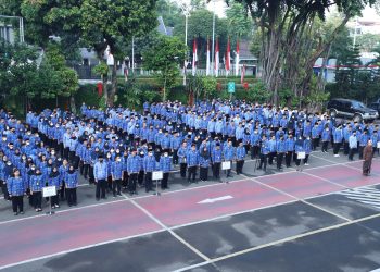 Alasan Seleksi CPNS 2024 Mundur ke Bulan Juli