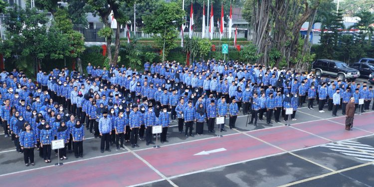 Alasan Seleksi CPNS 2024 Mundur ke Bulan Juli