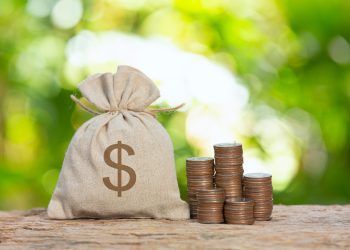 Gaji Ke-13 PNS 2024, Paling Cepat Cair Bulan Juni 2024