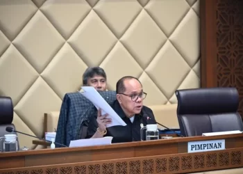 Keputusan terbaru BKN : Nasib tenaga honorer yang belum terdata langsung ditingkatkan menjadi PPPK.