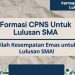 Lulusan SMA memiliki kesempatan emas! Pemerintah membuka berbagai posisi CPNS 2024.